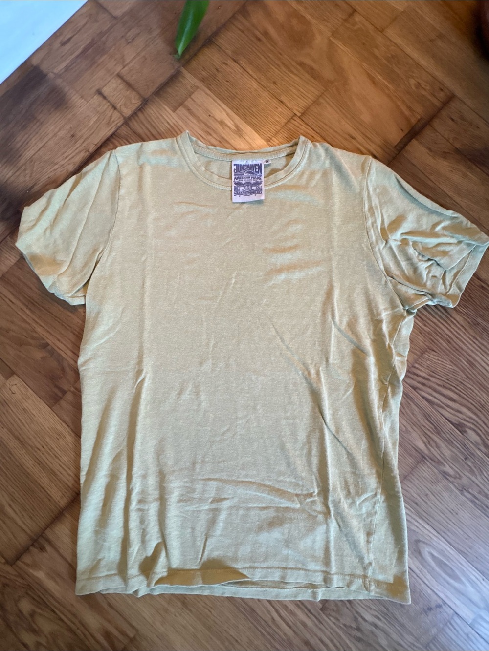 Jungmaven Men's Baja Tee Light Green Crew Neck Short Sleeve Tee